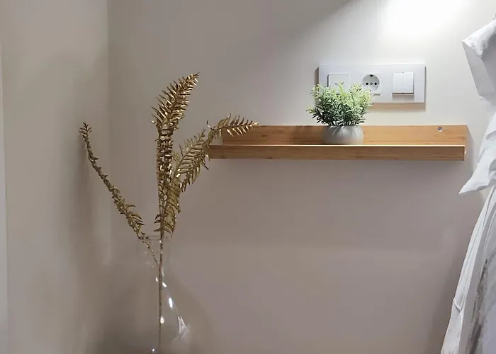 La Concha Little Apartament *